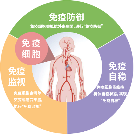 微信圖片_20221212093556.png