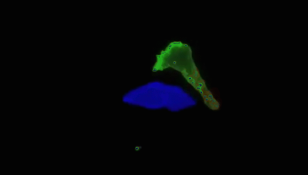 1687318657178576.gif 微信圖片_20230615104202.gif