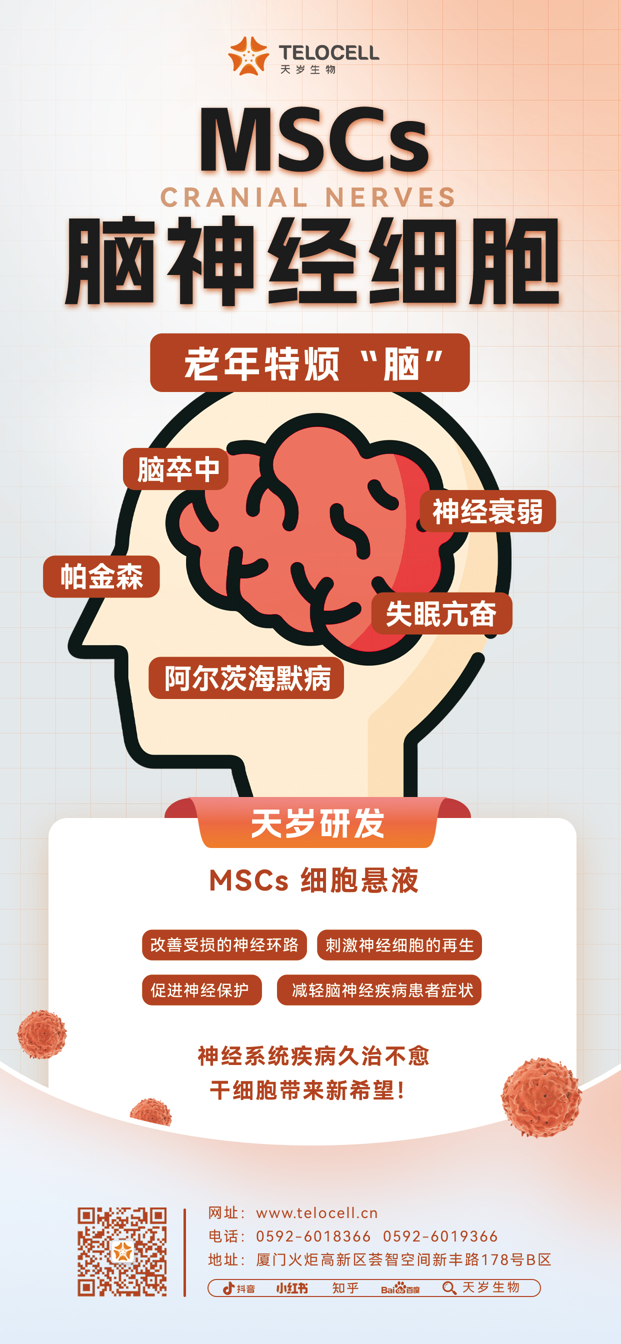 20230818 MSCs 腦神經細胞.jpg