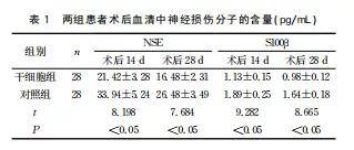 19ac03c95ac54e8a9b206dae2f6ccb0b.jpeg