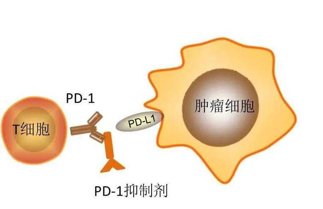 微信圖片_20231007135332.png