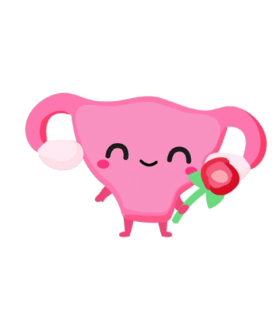 微信圖片_20240510223721.gif